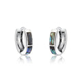 Silver stoned earings