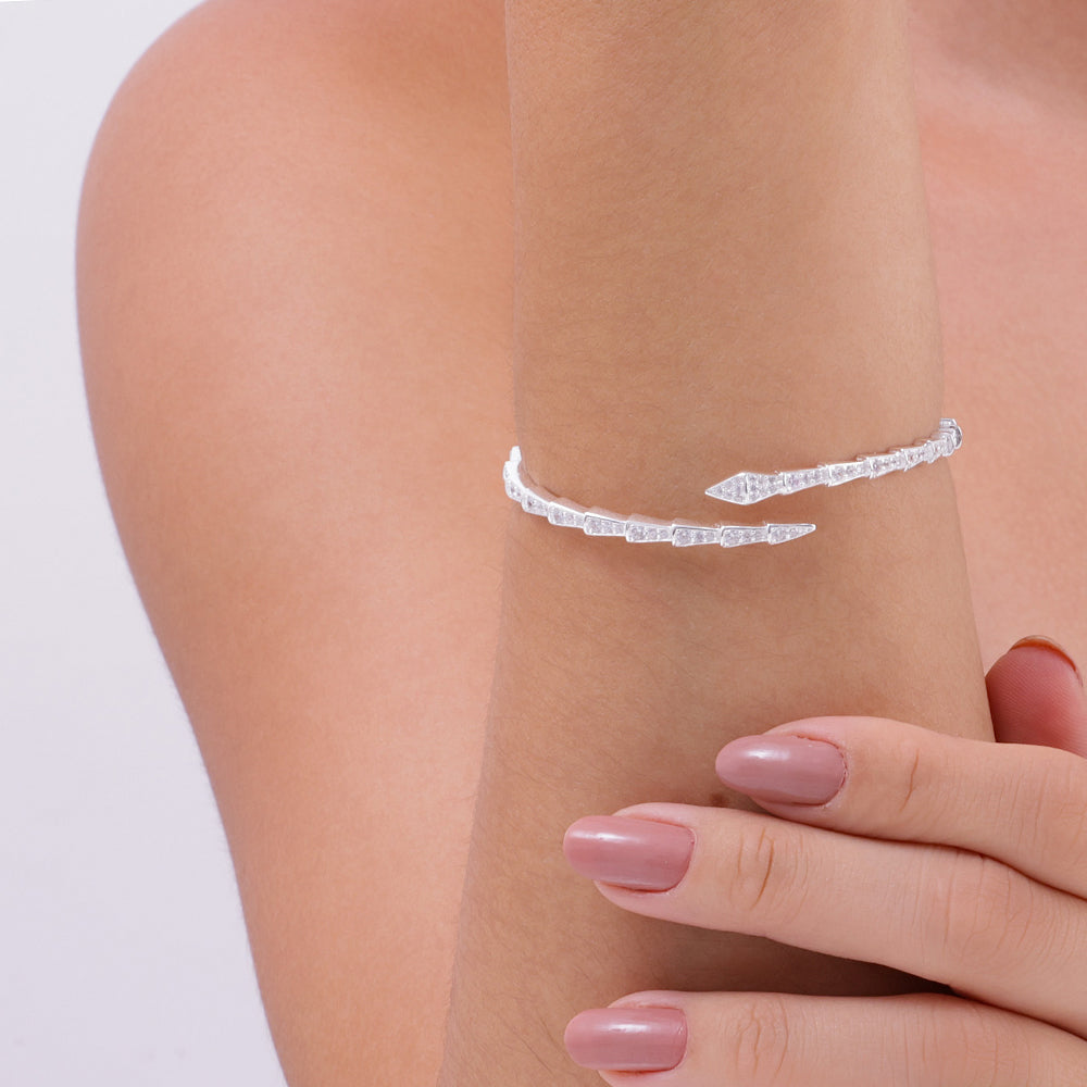 Le Bracelet serpent