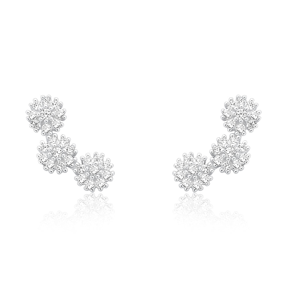Snowflake Loops
